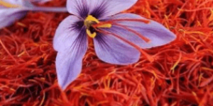 藏红花长什么样子？给你看它的图片以及藏红花产地排名介绍