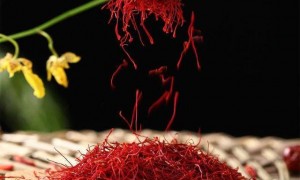 你知道藏红花功效和作用、藏红花功能是什么吗