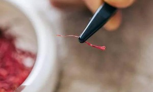 藏红花,女性必备!不只是美容养颜,还能治多种病